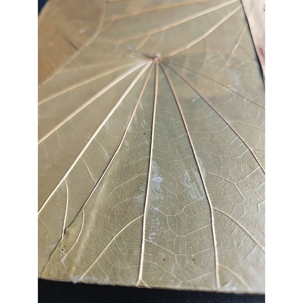 Boho Handmade Tree Bark Leaf Cover Blank Journal Scrapbook Photo‎ Twine Bound 9